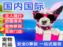 重庆仙女山空运公司国际宠物托运 【国